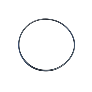 O-RING F047701